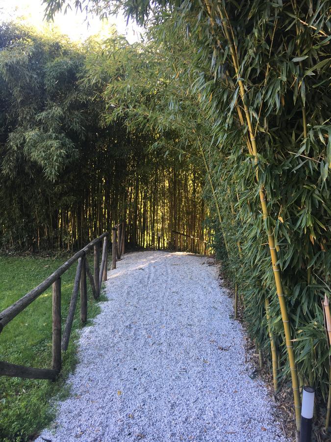 Villa La Bianca Camaiore Eksteriør bilde